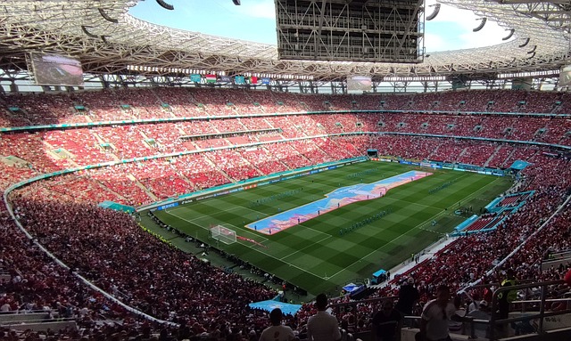 法国队击败 法国队击败