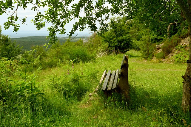 我们将聚焦 我们将聚焦