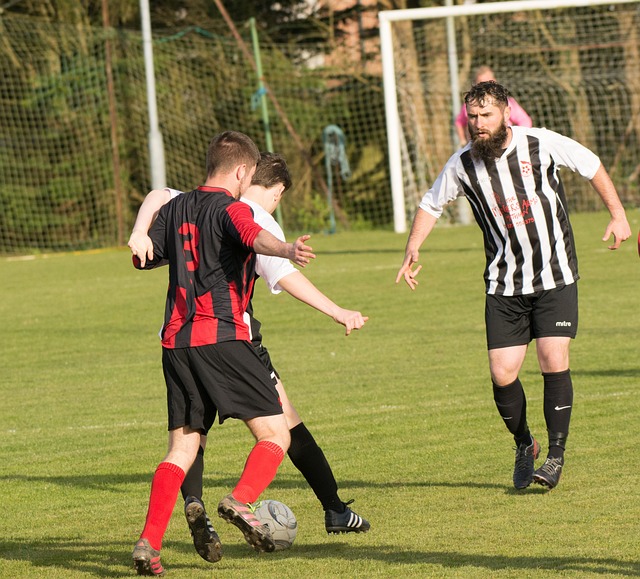 赞和转发 赞和转发