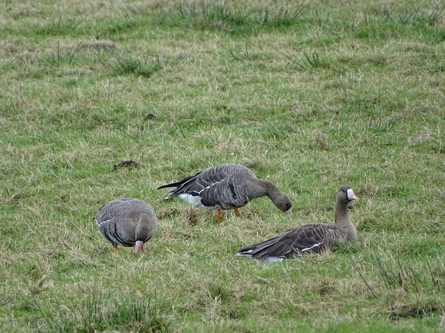 可適度選擇 可適度選擇