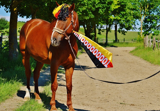 越来越近 越来越近