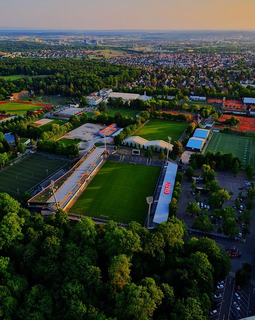 立下了汗马 立下了汗马